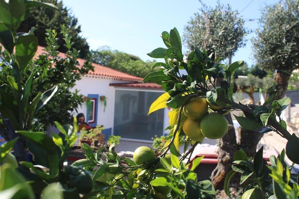 فيلا Casa Manuel E Maria فاطمة المظهر الخارجي الصورة